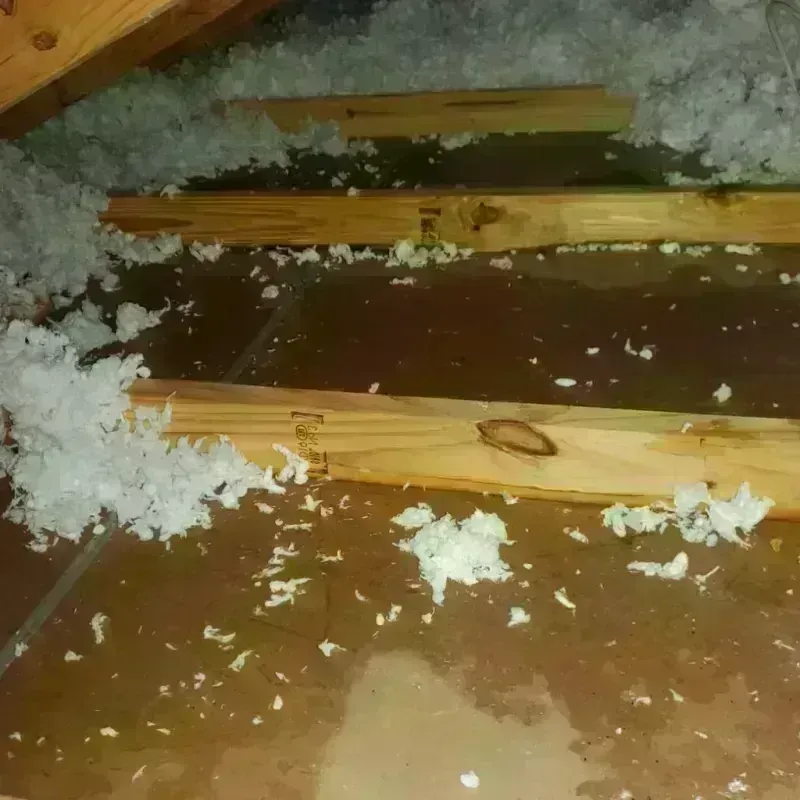 Attic Water Damage in Charlotte Harbor, FL