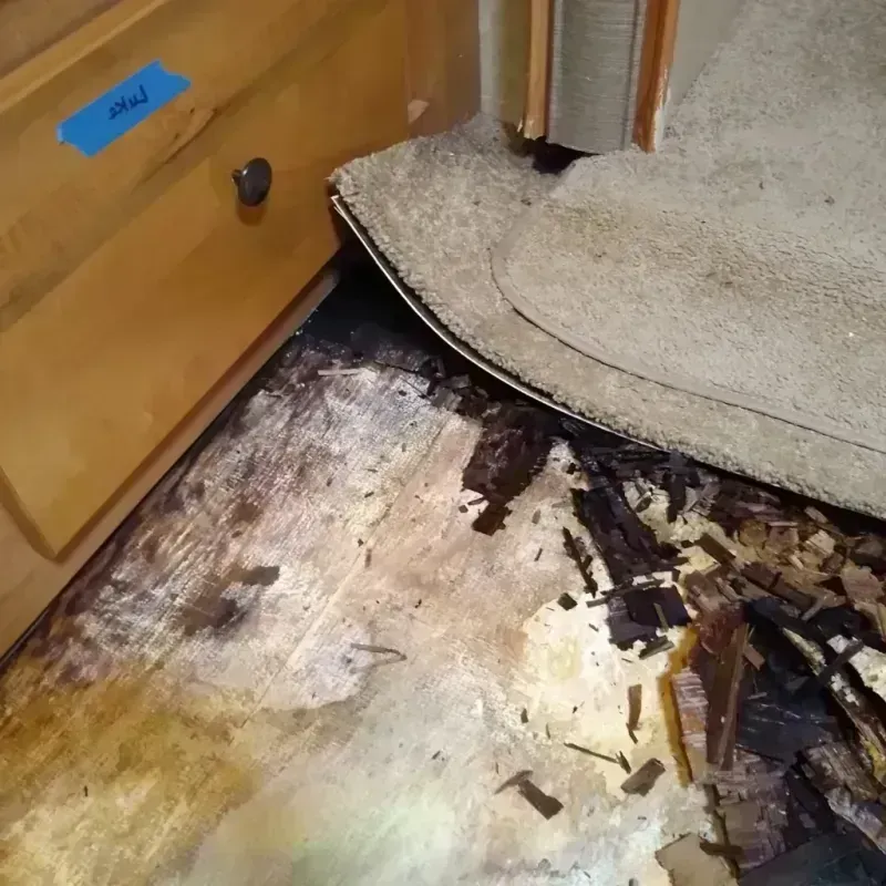 Wood Floor Water Damage in Charlotte Harbor, FL